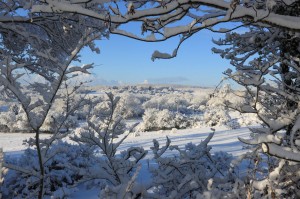perfume-para-invierno